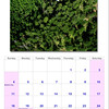 paraglidingphotos > Purchase BAPA 2008 Calendar photo