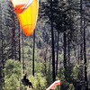 paraglidingphotos > Anderson Flats photo